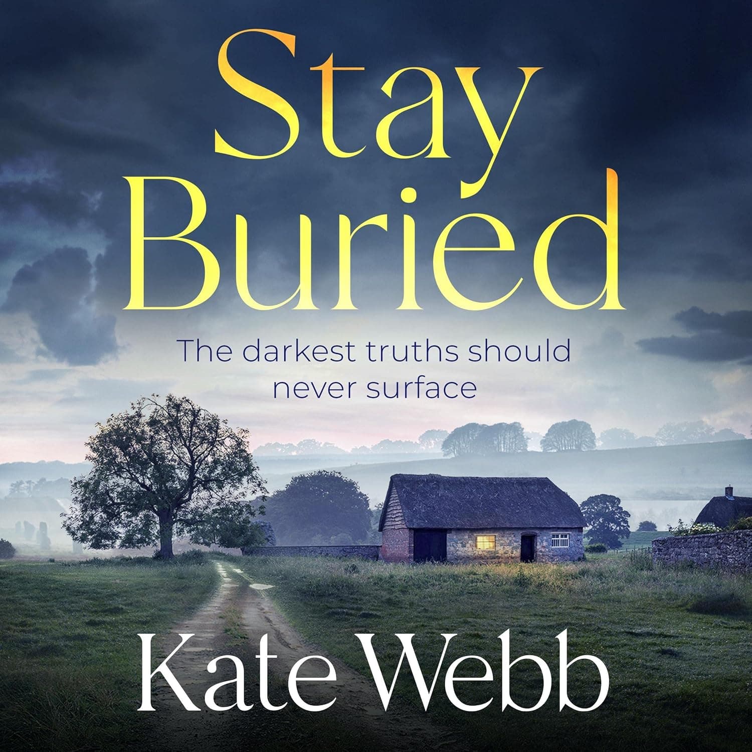 Stay Buried cover