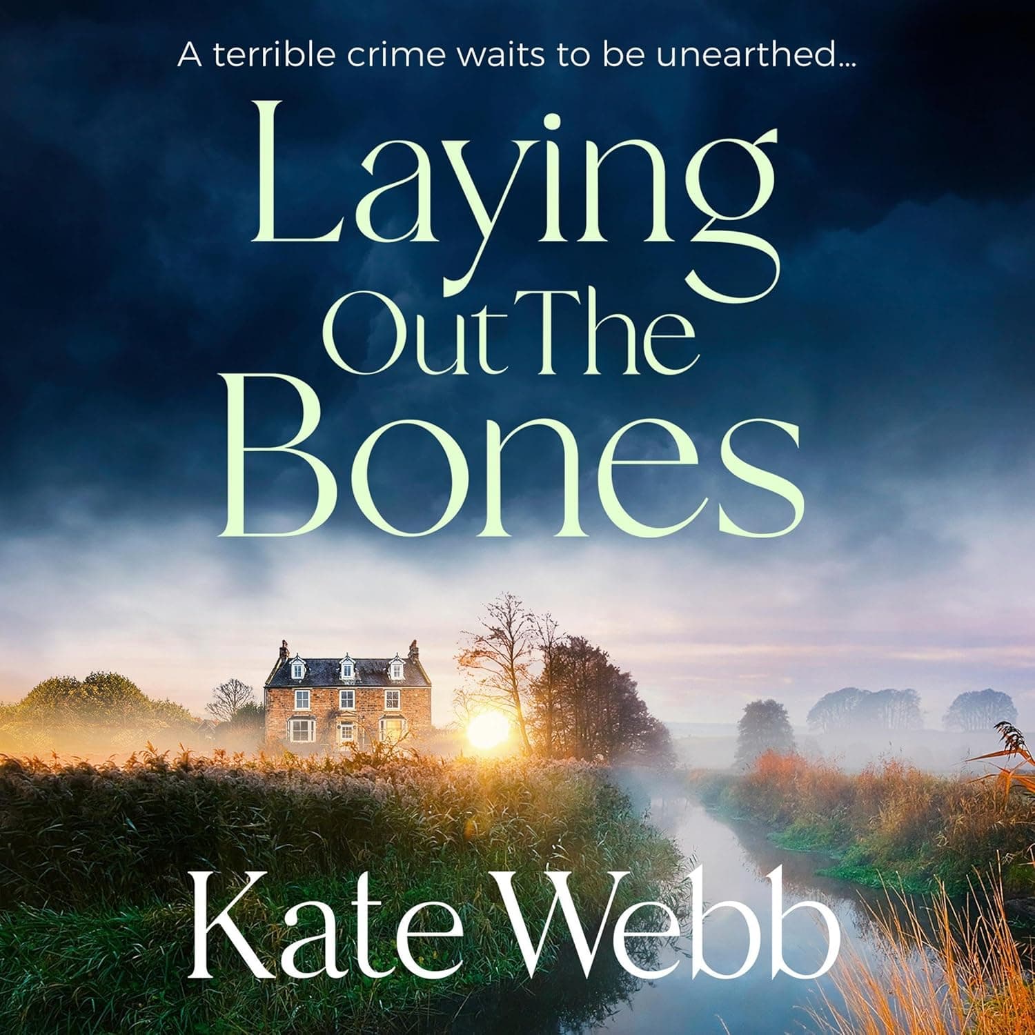 Laying Out the Bones cover