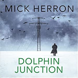 Dolphin Junction cover